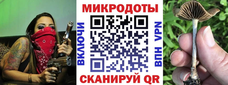 Галлюциногенные грибы MAGIC MUSHROOMS Кедровый